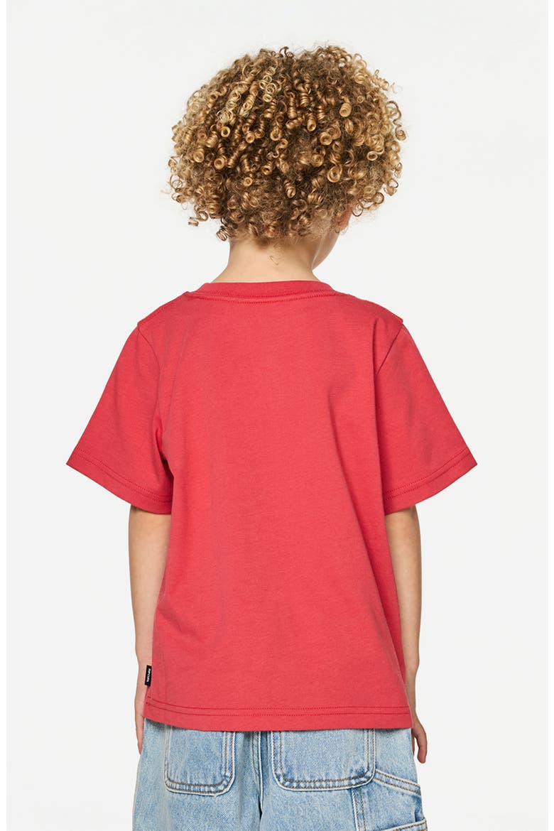 Kids' Paddle Out Graphic T-Shirt, Alternate, color, WASHED RED