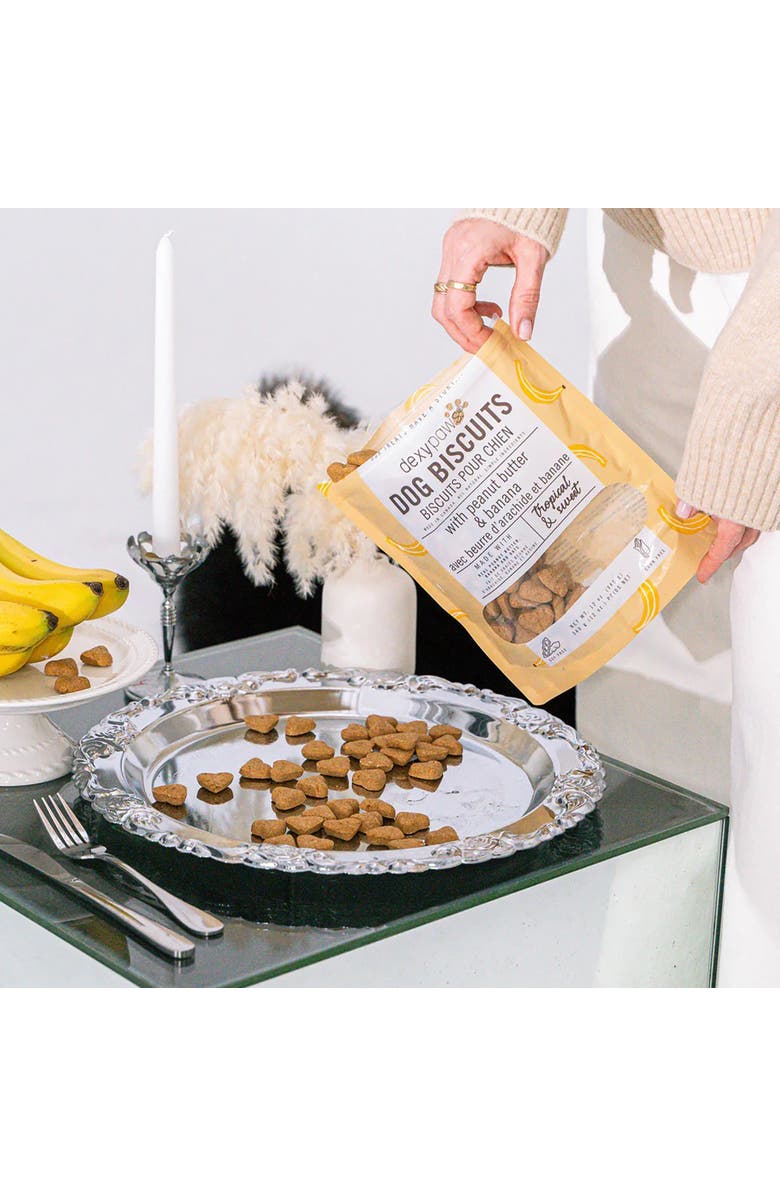 Dexypaws Banana, Oat & Peanut Butter Dog Biscuits 12oz, Alternate, color, Brown