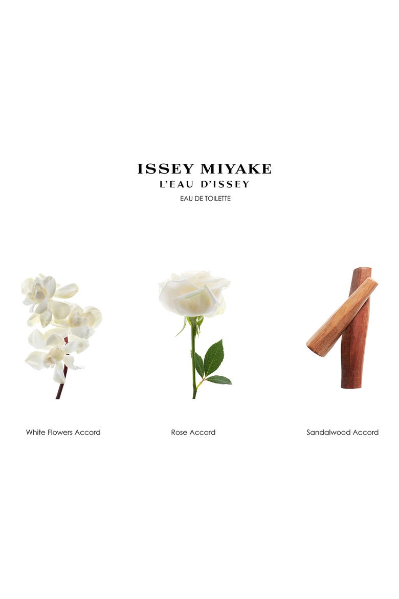 L'Eau d'Issey Eau de Toilette Natural Spray, Alternate, color, NO COLOR