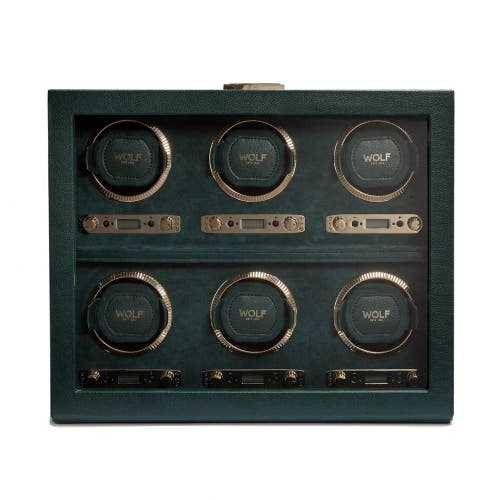 Wolf British Racing 6 Piece Watch Winder In Green