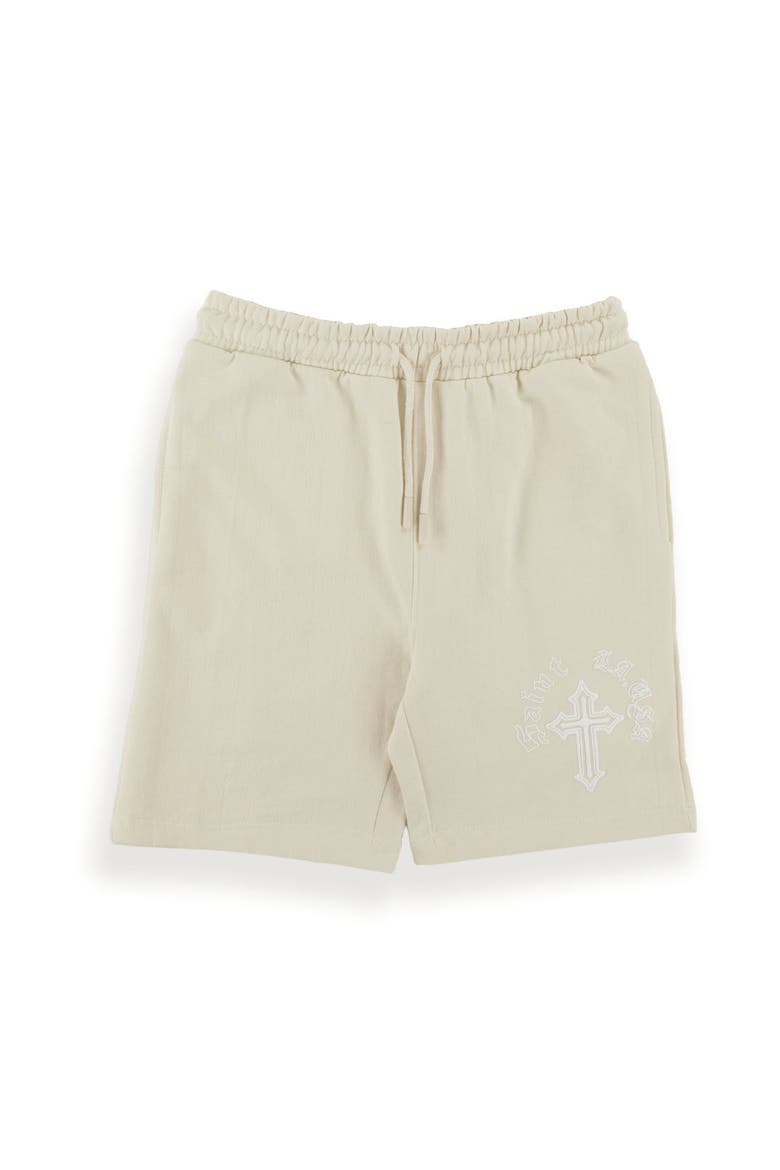 Men's Troy Shorts, Main, color, Turtledove/ Saint La