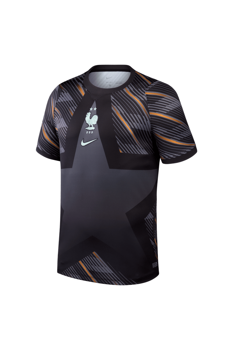 Men's Nike  Gray France National Team 2026 Goalkeeper Stadium Replica Jersey, Alternate, color, Gray