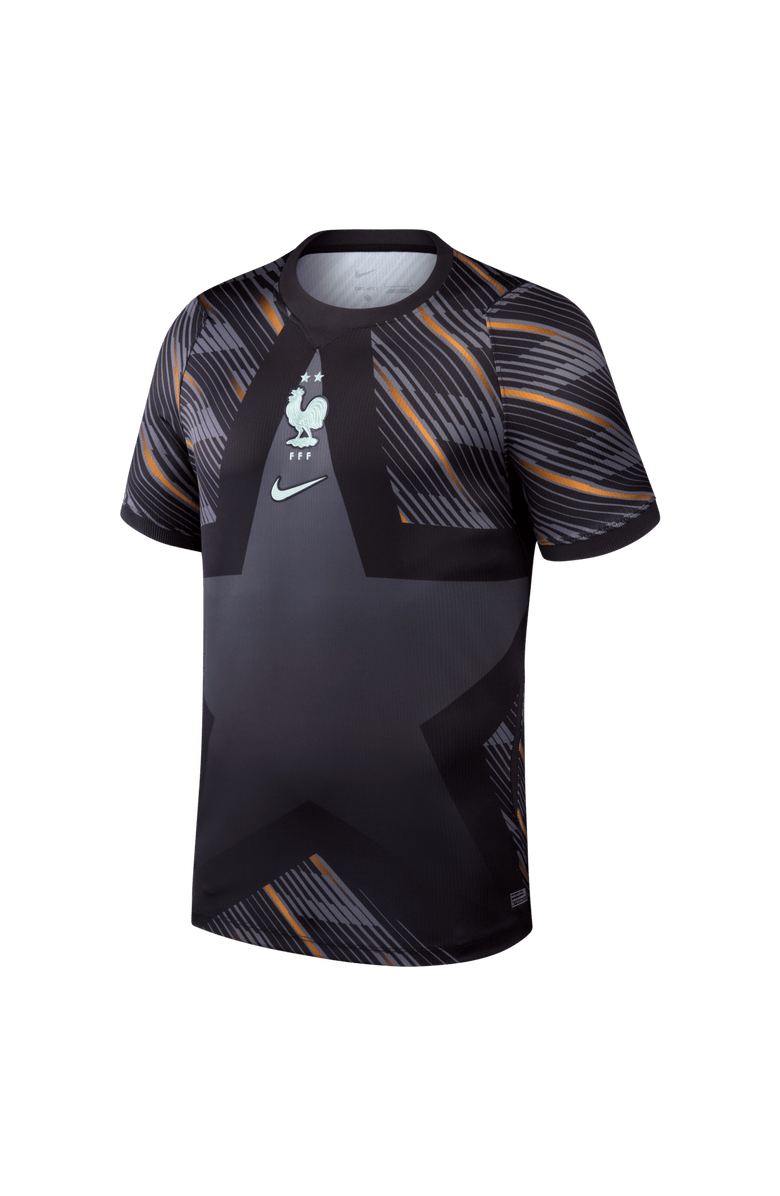 Nike Men's Nike  Gray France National Team 2026 Goalkeeper Stadium Replica Jersey, Alternate, color, Gray