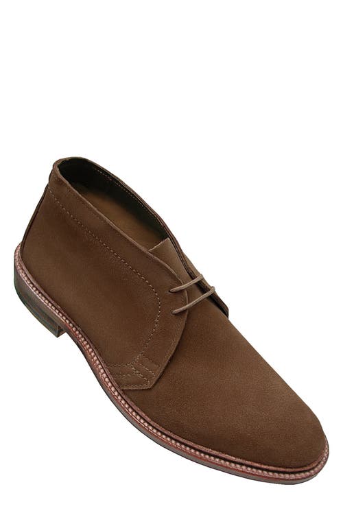 Alden Last Chukka Boot in Snuff Suede  product