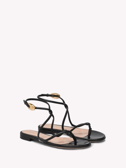 Gianvito Rossi Mamba Leather Flat Sandals In Black