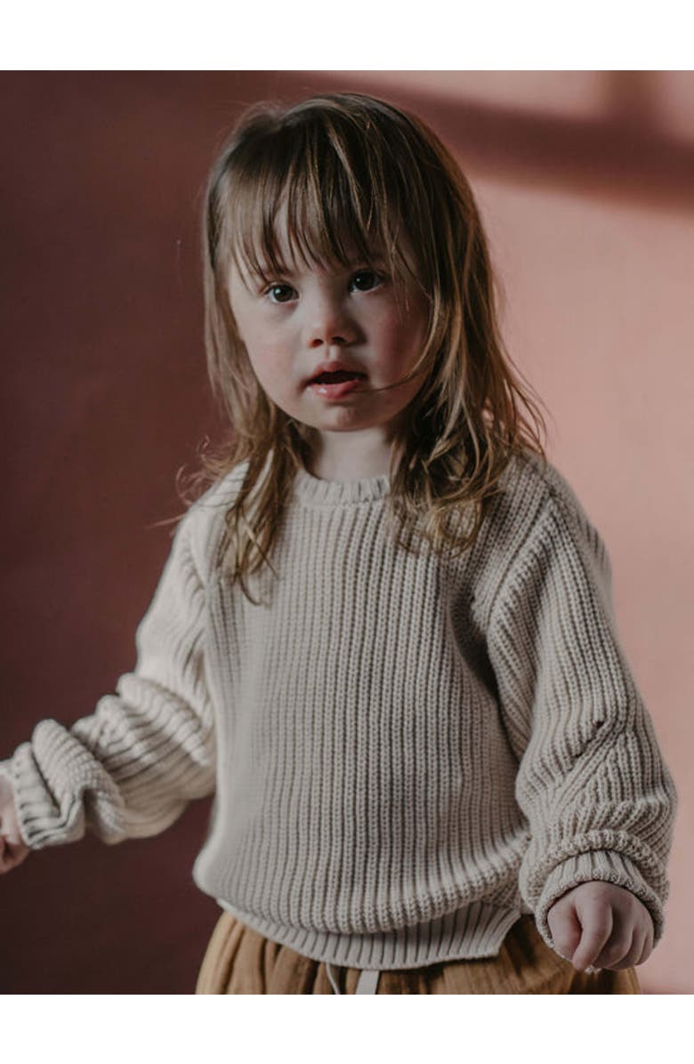The Simple Folk The Essential Sweater, Alternate, color, Oatmeal