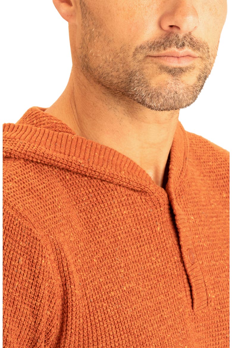 Trim Fit Waffle Knit Henley Hoodie, Alternate, color, MONARCH
