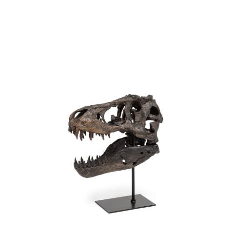 Jurassic Resin Dinosaur Skull Replica