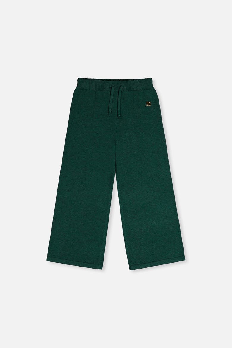 Knitted Drawstring Waist Wide Leg Flare Pants, Main, color, Jasper Printed Green