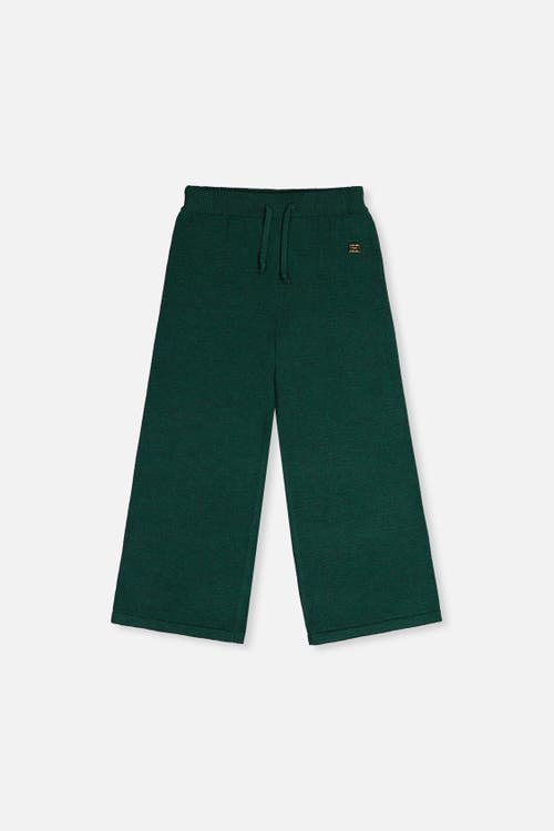 Deux par Deux Knitted Drawstring Waist Wide Leg Flare Pants in Jasper Printed Green at Nordstrom, Size 6