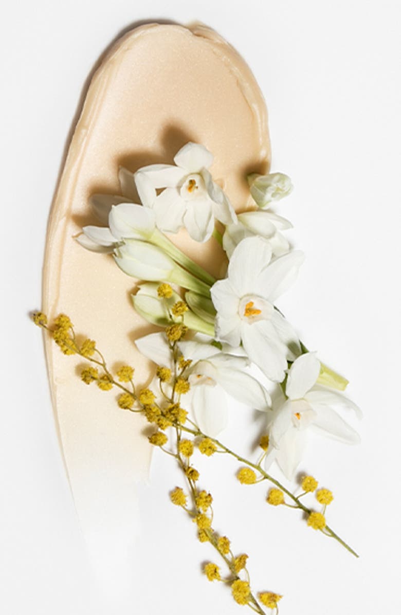 Chantecaille Gold Recovery Face Mask, Alternate, color,