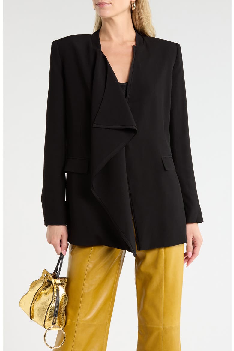 Elea Draped Front Blazer, Main, color, NOIR