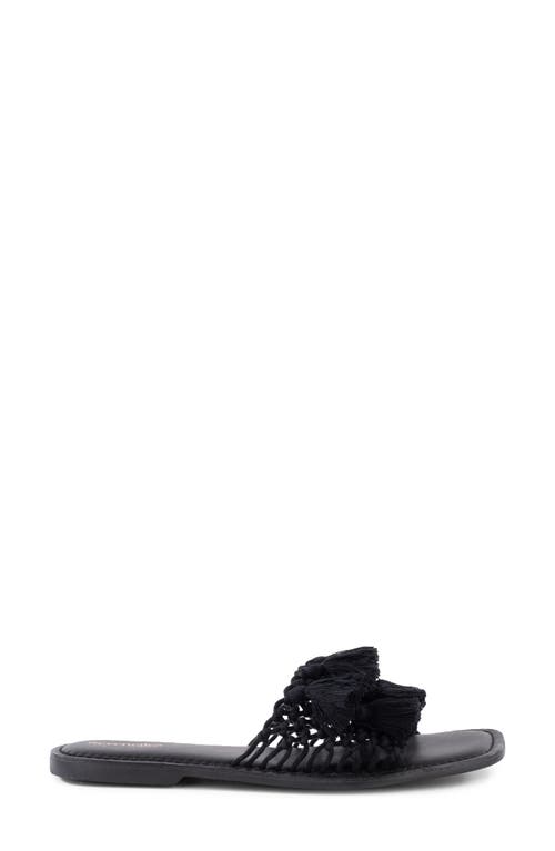 Seychelles Camellia Slide Sandal In Black