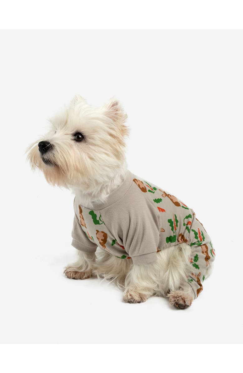 Leveret Dog Cotton Easter Matching Family Holiday Pajamas, Bunny Prints, Main, color, Rabbit