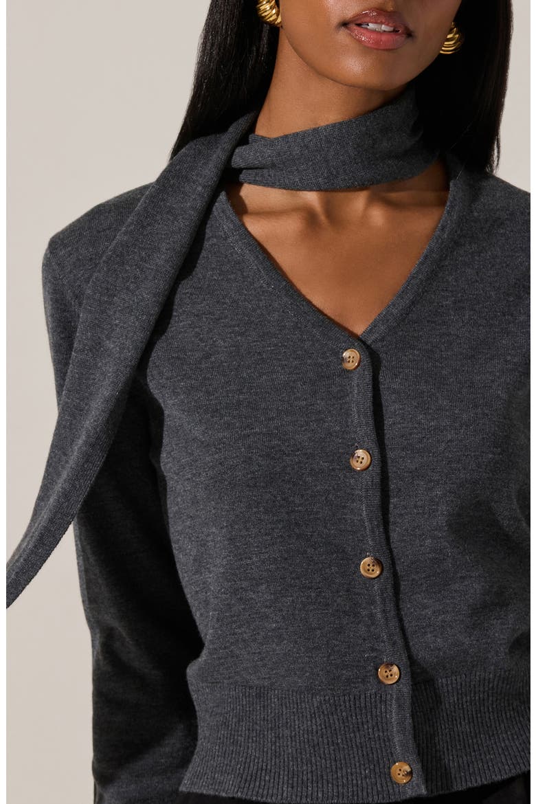 Glynne Scarf V-Neck Cardigan, Alternate, color, CHARCOAL