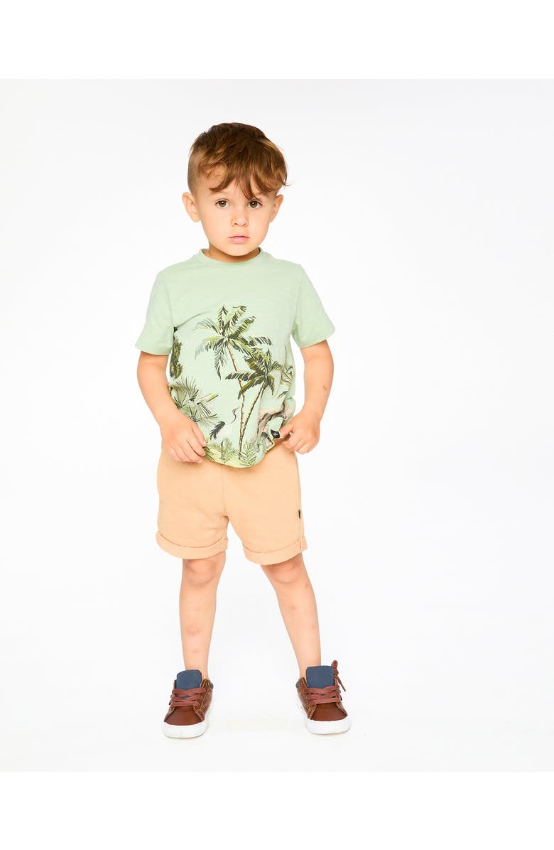 Deux par Deux Organic Cotton Safari Short Sleeves T-Shirt, Alternate, color, Mint Green