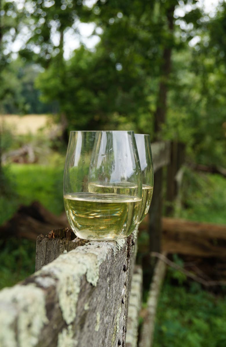 Fortessa Set of 6 Outdoor Stemless Wine Glasses, Alternate, color, Clear