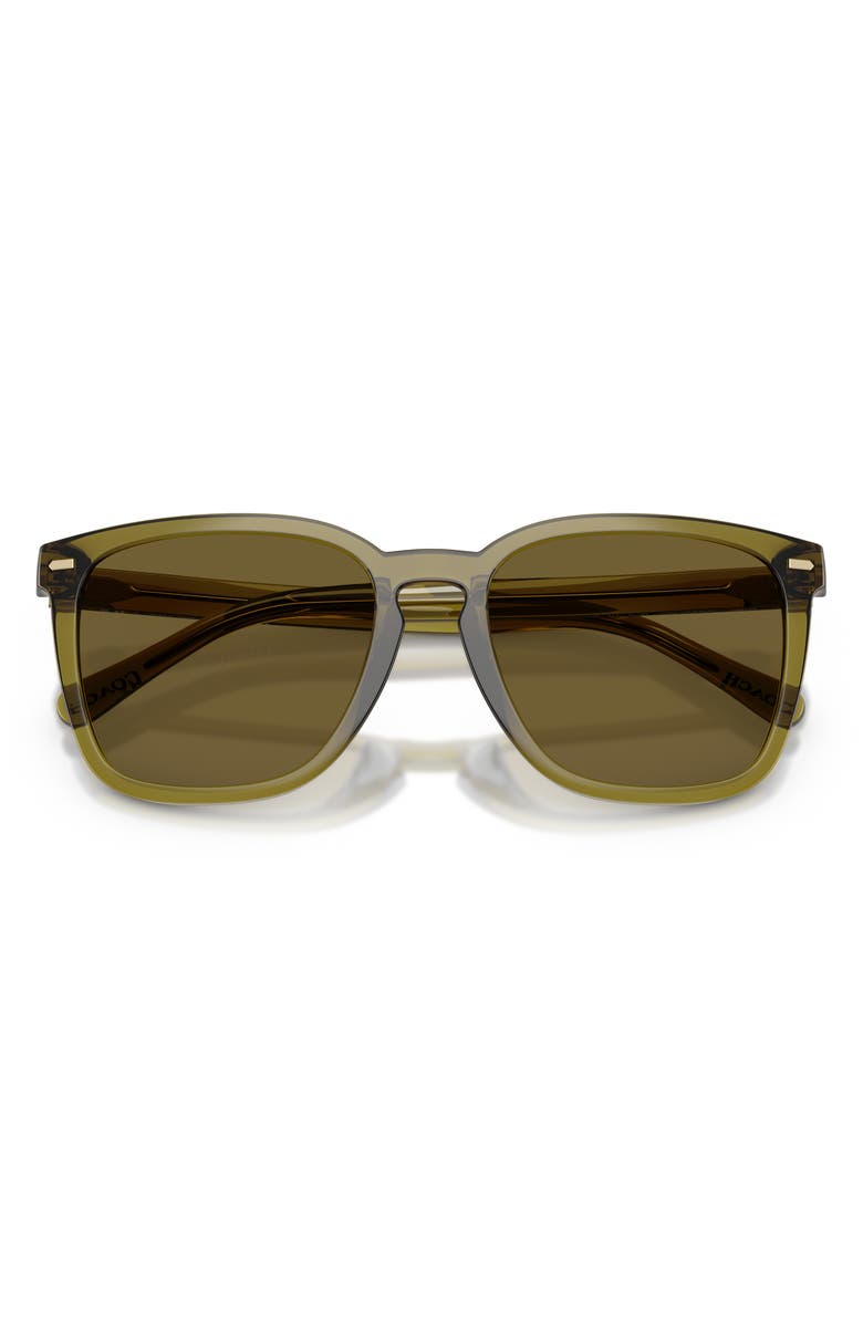 COACH 56mm Square Sunglasses, Alternate, color, Transparent Olive/ Army Solid