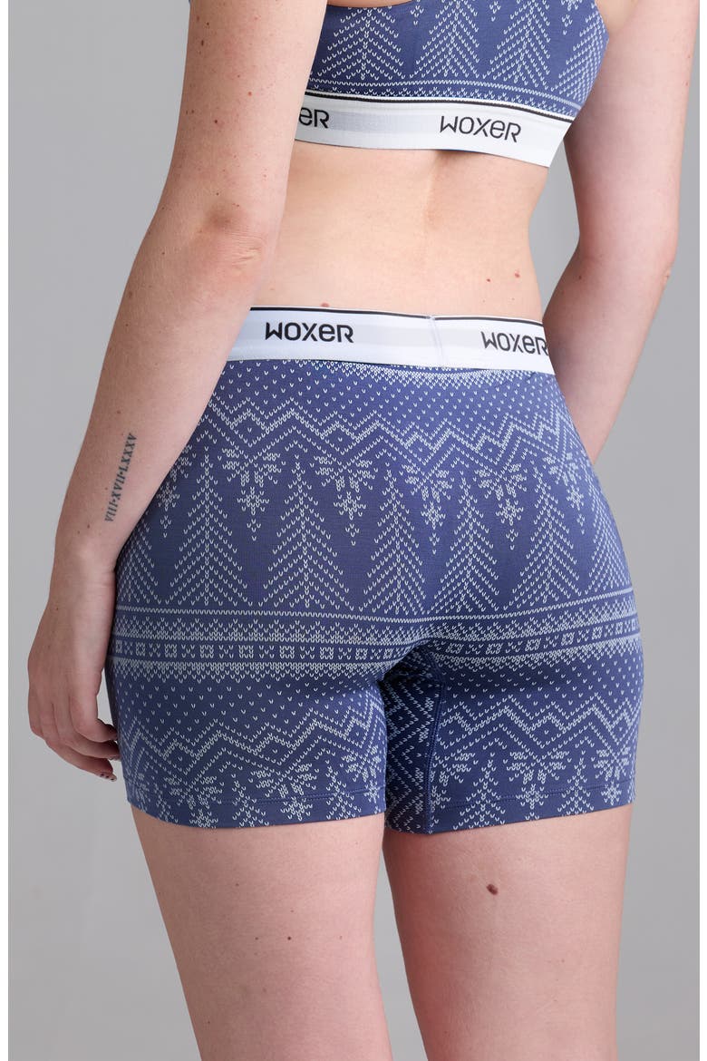 Baller Ultra-Soft 5-Inch Boxer Briefs, Alternate, color, ARCTIC NORDIC