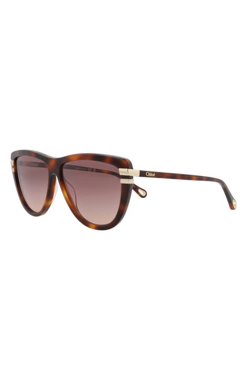 Chloé Square-frame Recycled Acetate Sunglasses In Brown