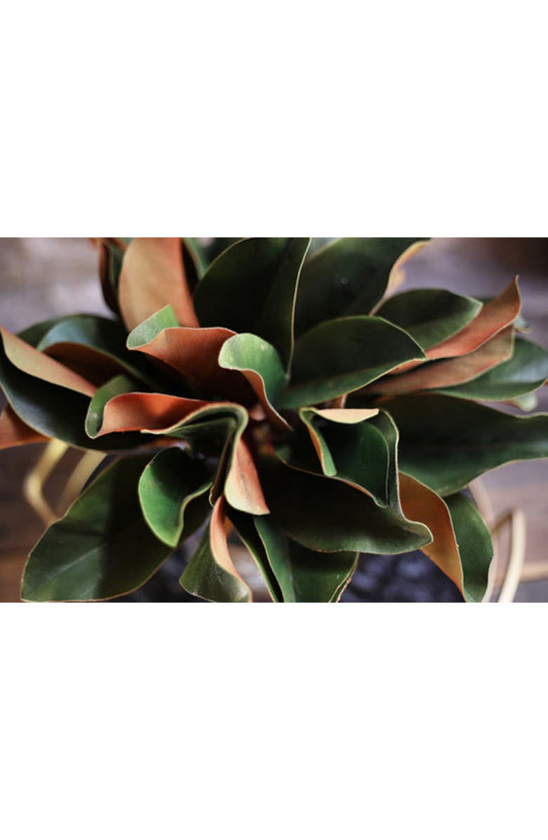 Darby Creek Trading Real Touch Magnolia Leaves Everyday Arrangement in Glass Vase, Alternate, color, Green