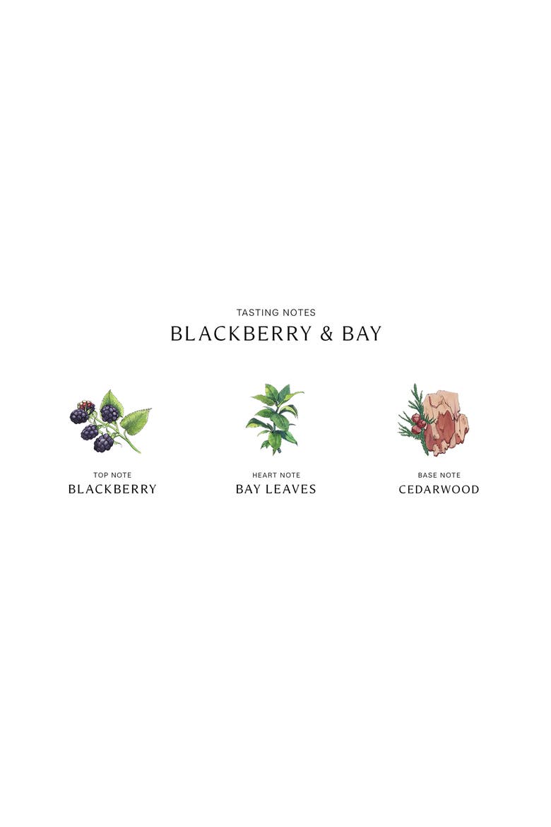 Blackberry & Bay Scented Home Candle, Alternate, color, NO COLOR