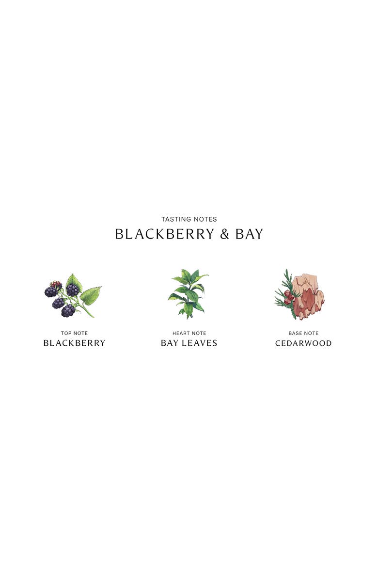 Jo Malone London<sup>™</sup> Blackberry & Bay Body Crème, Alternate, color,