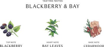 Blackberry & Bay Cologne