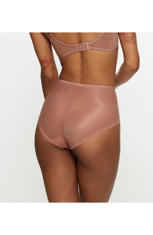 Triumph Signature Sheer Brief Panties In Brown
