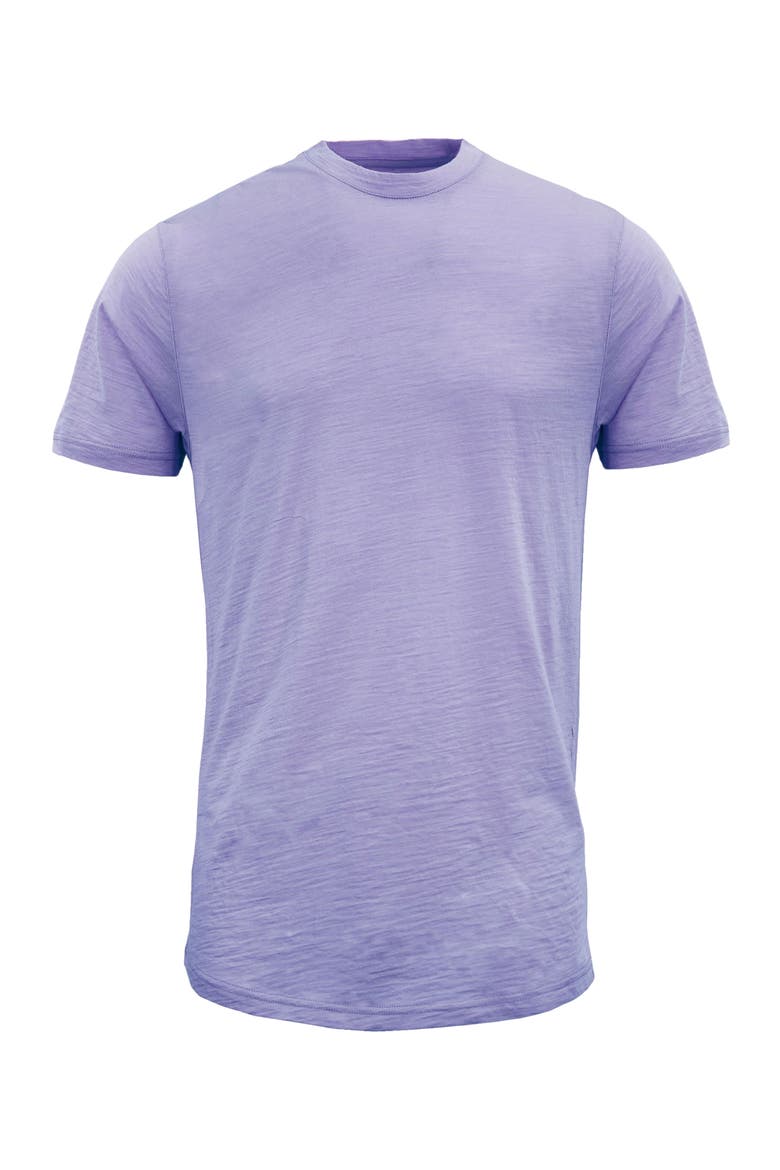 Cassius Merino Wool Jersey Crew Neck T-Shirt, Main, color, Lavender