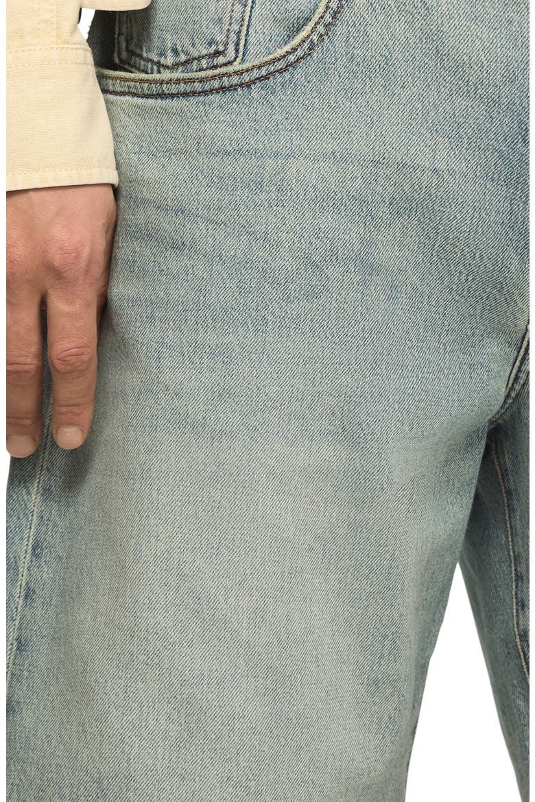 Loose Fit 5-Pocket Denim Shorts, Alternate, color, COMET TAIL