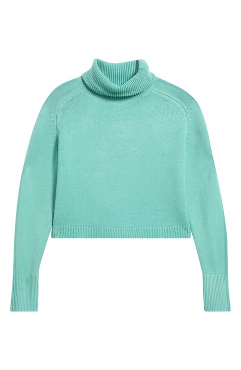 Pugliese Crop Turtleneck Sweater