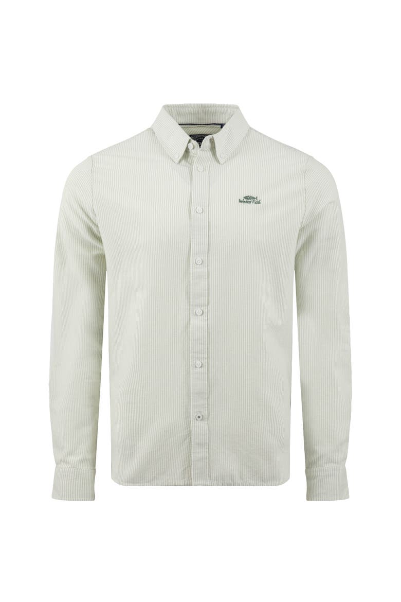 Benedict Button Down Oxford Shirt, Alternate, color, Laurel Green