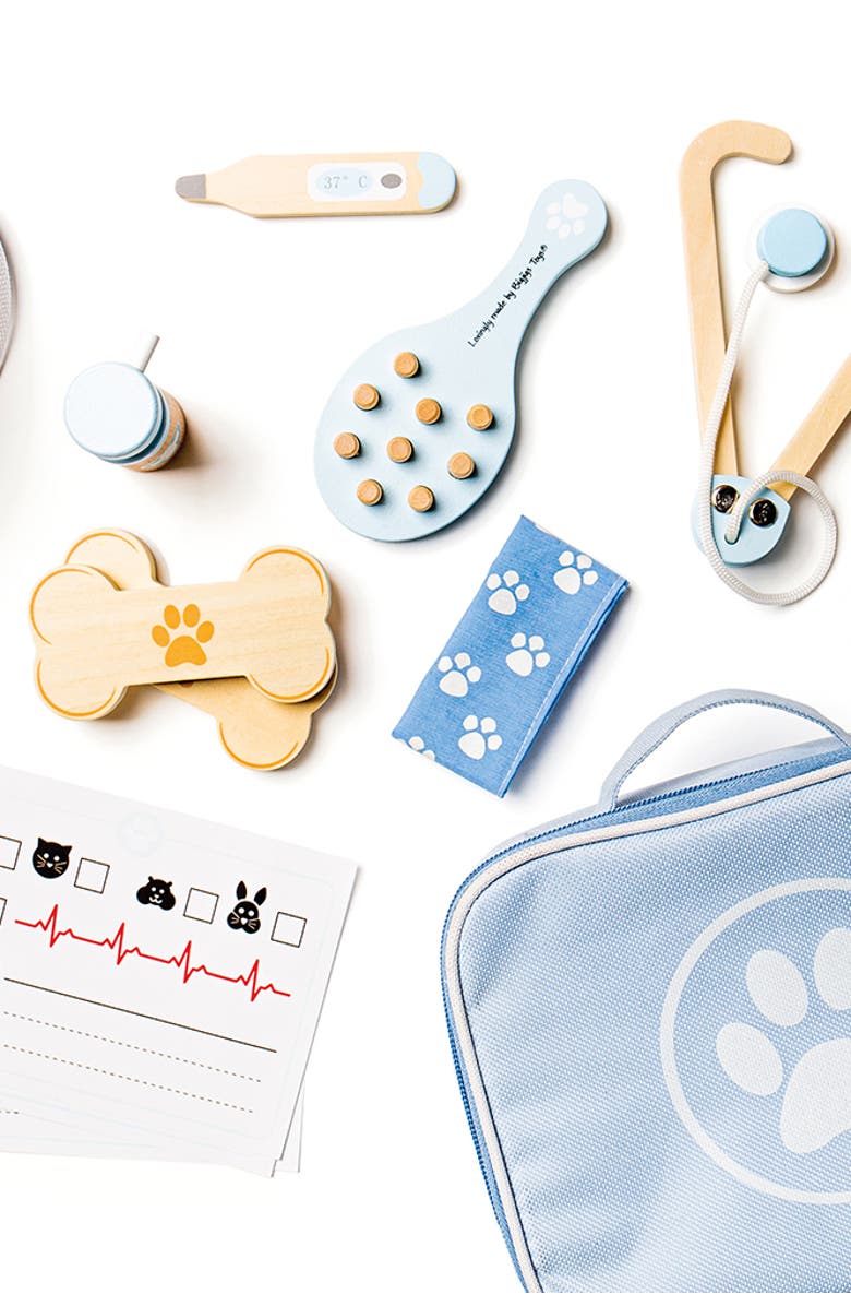 Bigjigs Toys Veterinary Set, Alternate, color, Blue