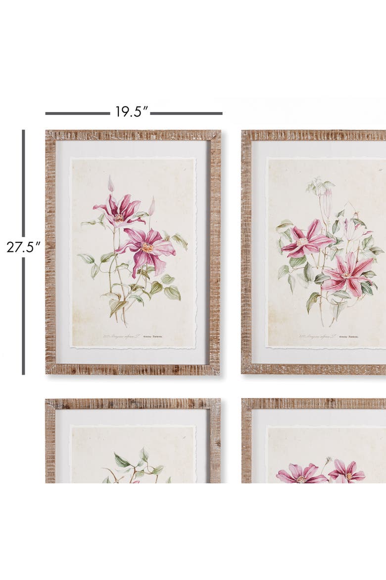 Pink Clematis Prints Set of 4, Alternate, color, Pink