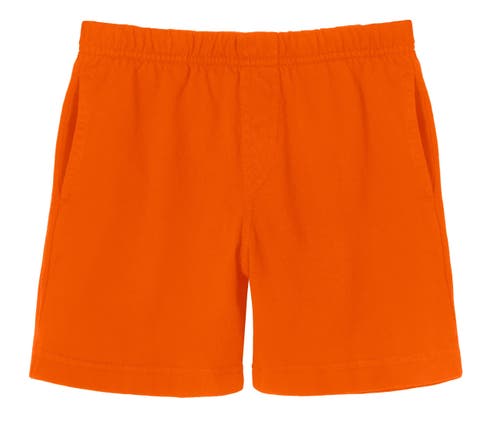 Baby Boys Soft Cotton Above-Knee Side Pocket Shorts (Baby)