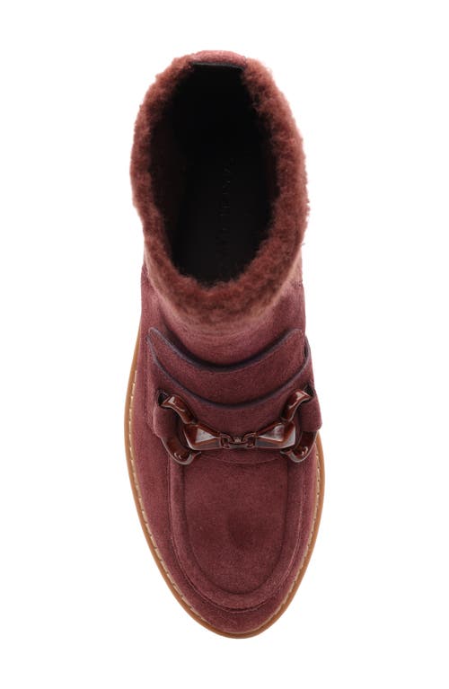 Sanctuary Marley Bit Chelsea Boot In Brown