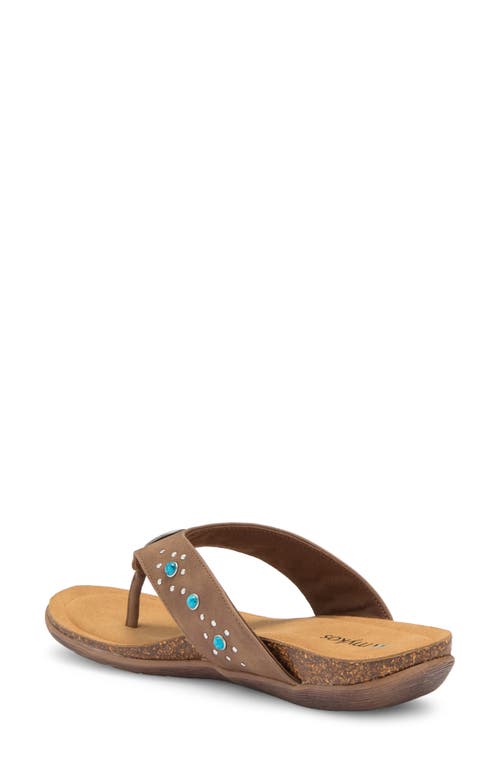 Mykos Jovie Flip Flop In Brown