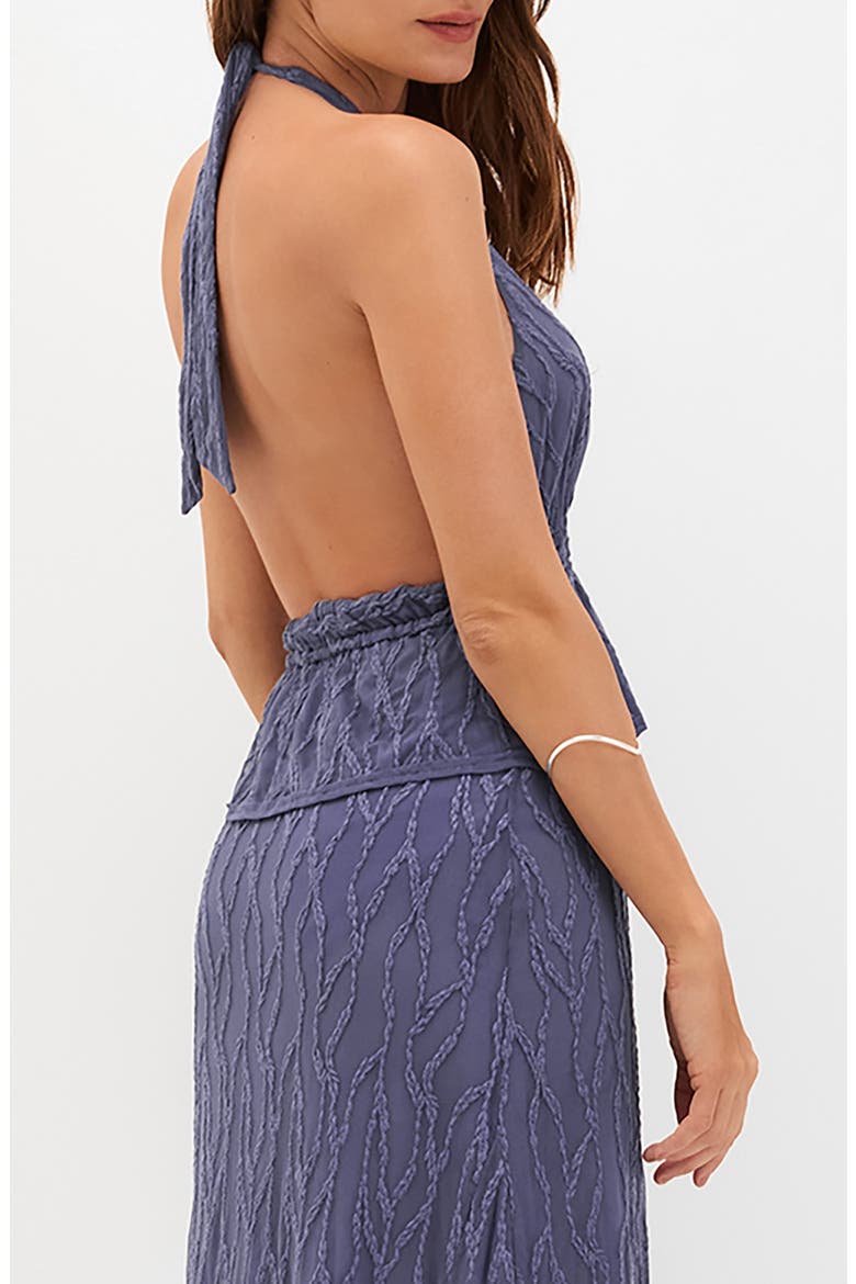 Quinn Embroidered Mesh Halter Neck Top, Alternate, color, BLUE