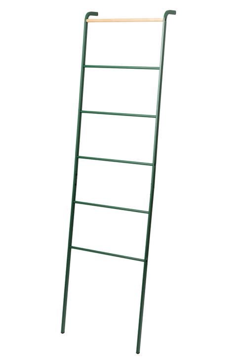 Leaning Storage Ladder