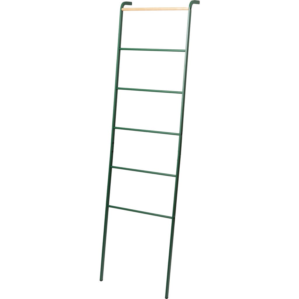 Yamazaki Leaning Storage Ladder In Green