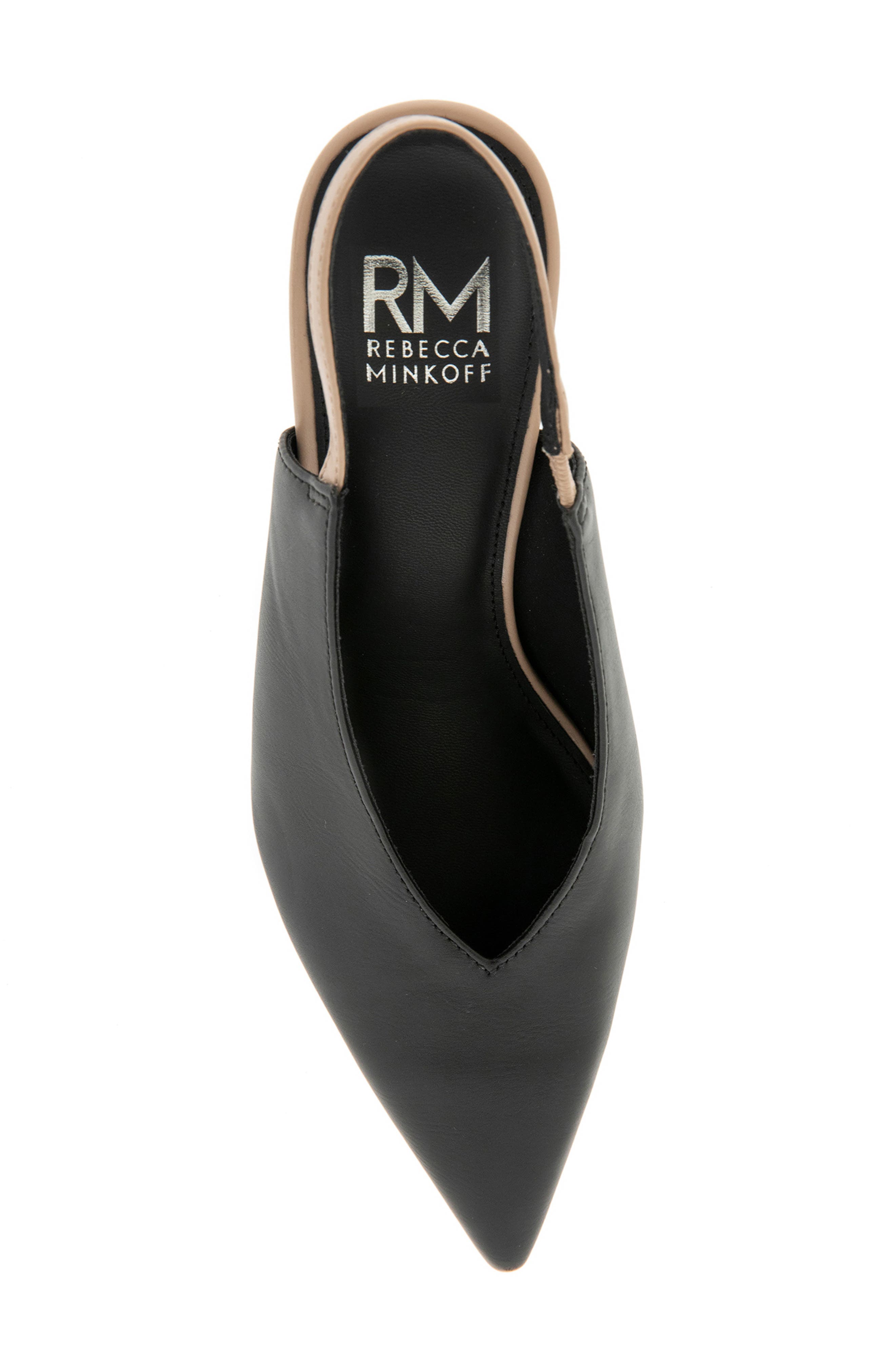 Rebecca Minkoff Tiana Pointed Toe Slingback Pump, Alternate, color, Black