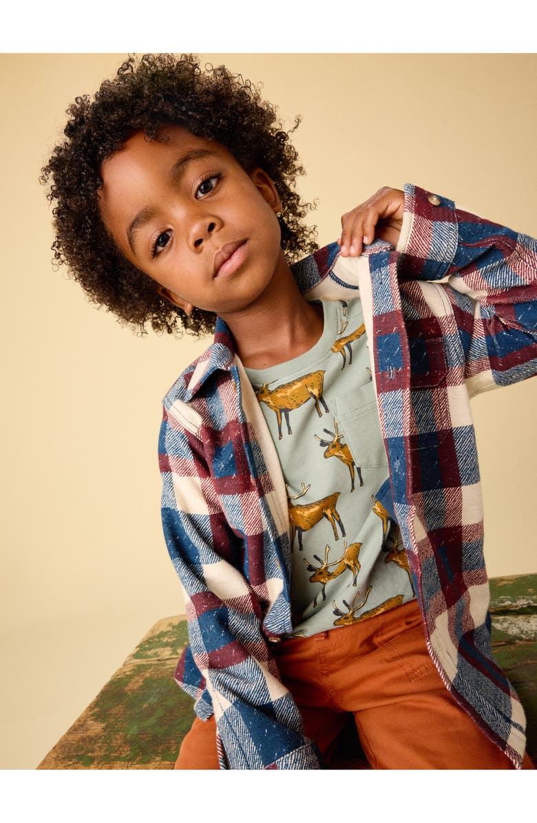 Tea Collection Knit Shacket, Alternate, color, Cappadocia Plaid