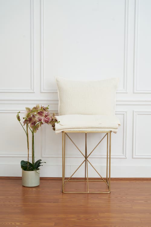 Elisabeth York 20" X 26" Chander Dove Cotton Standard Sham In White