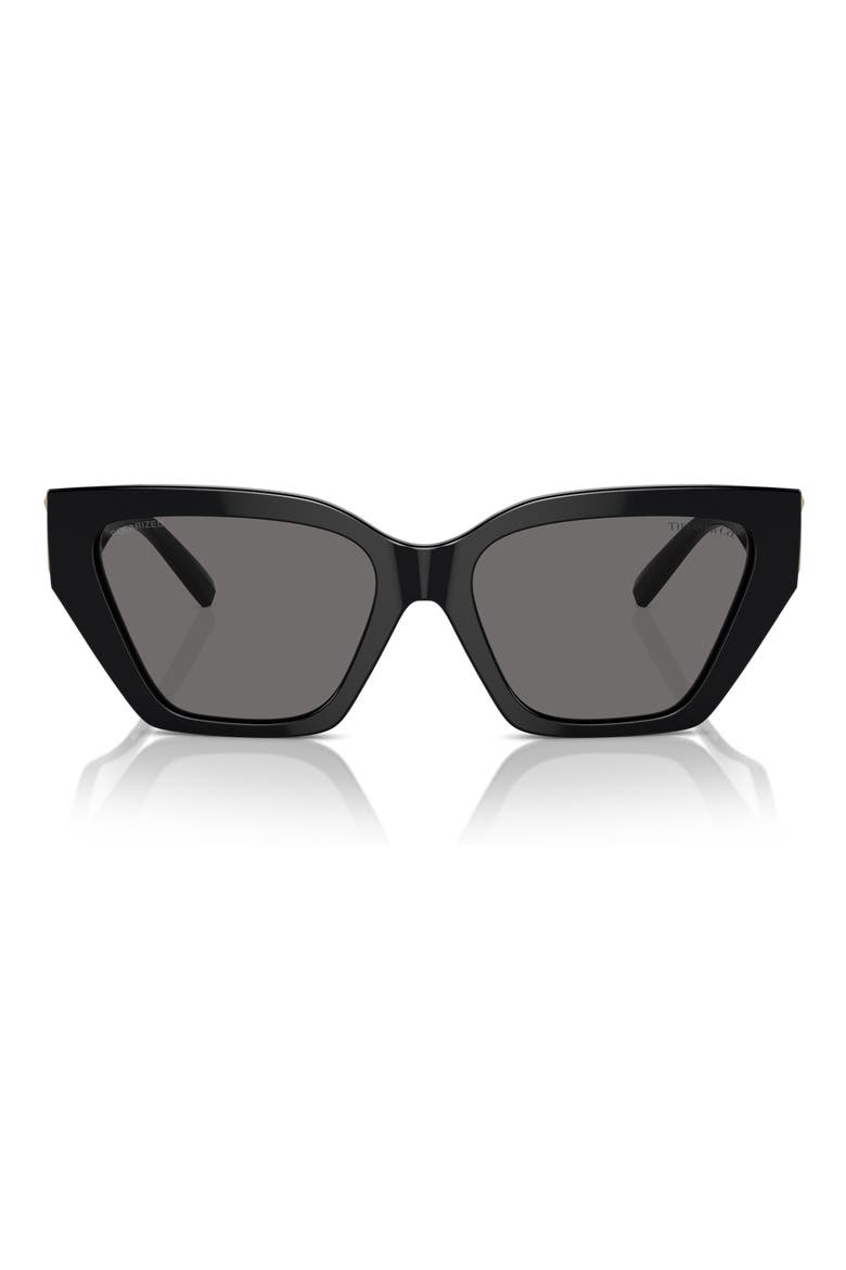 55mm Polarized Cat Eye Sunglasses, Main, color, BLACK