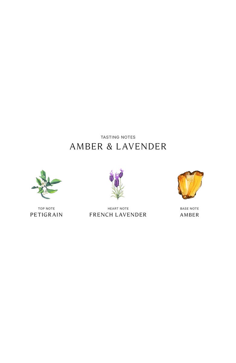 Jo Malone London<sup>™</sup> Amber & Lavender Cologne, Alternate, color,