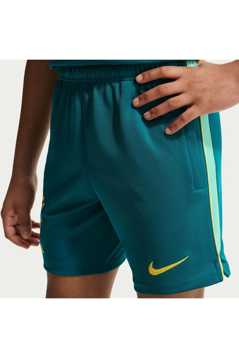 Youth Nike Teal Brazil National Team 2026 Academy Pro Dri-FIT Shorts, Alternate, color, Teal