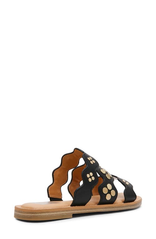 Dolce Vita Dv By  Jatty Scallop Slide Sandal In Black
