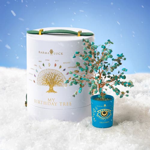 Karma And Luck Soulful Existence Turquoise December Birthday Tree In Turquoise