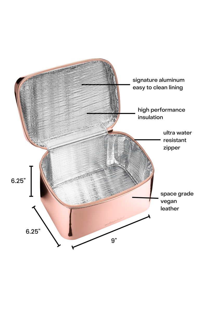 WELLinsulated Performance Beauty Case, Alternate, color, 